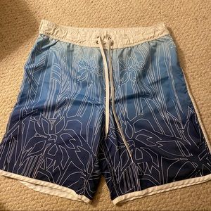 Blue & white Boardshorts